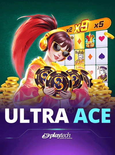 333bid